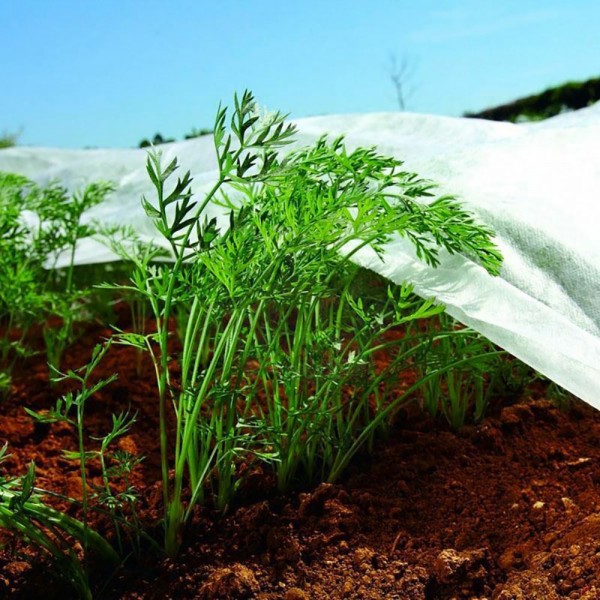 Tela de protección para cultivos-bobina 2 x 20 m 30gr/m²